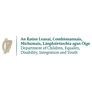 Department of Children Equality Disability Integration and Youth