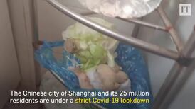 Life inside Shanghai's strict Covid-19 lockdown
