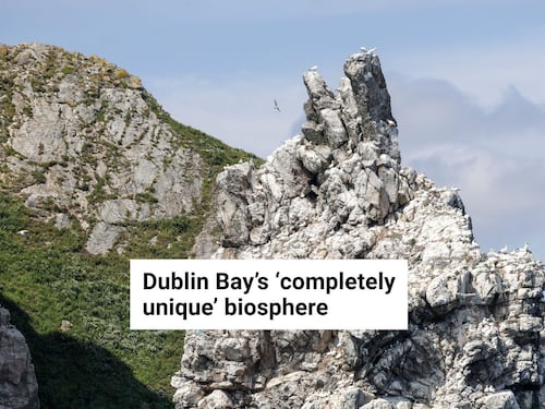 A look at Dublin's 'completely unique' biosphere