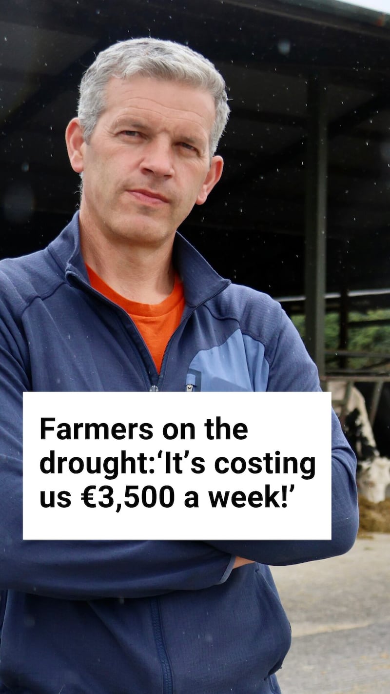 ‘It's costing us €500 a day’ - Dairy farmer on the drought
