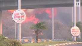 Netanyahu vows to 'severely punish' arsonists as wildfires engulf Israel