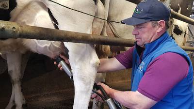 Final milking day for Dublin’s last commercial dairy farm