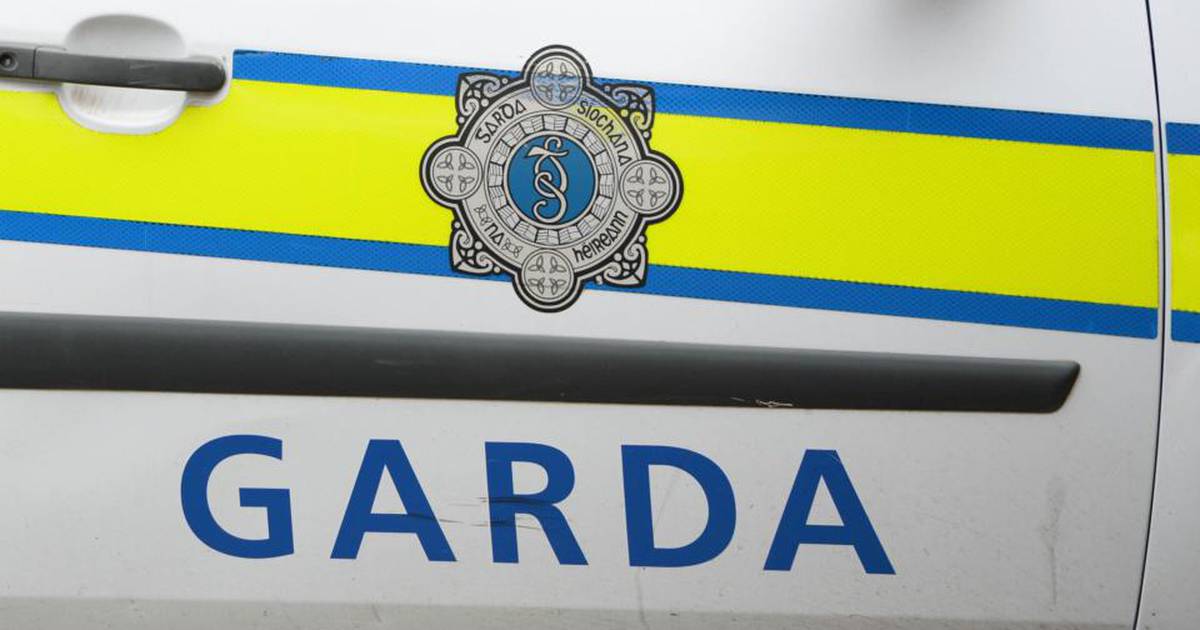 Garda convicted of sex assault on female colleague avoids jail time ...