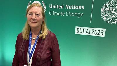 Ireland should lead world on phasing out fossil fuels, says climate council chair