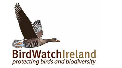 Charities Regulator appoints inspectors to investigate BirdWatch Ireland