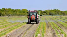 Infant and prenatal exposure to pesticides linked to autism risk