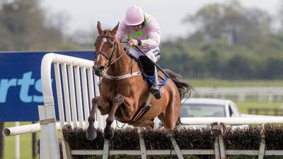 Mullins-trained pair thriving in the build-up to the Melbourne Cup