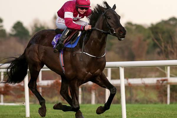 Eric Bloodaxe to further embellish his credentials in Limerick feature