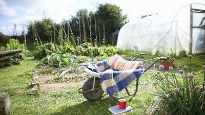 Ease your way into the gardening year – here’s how