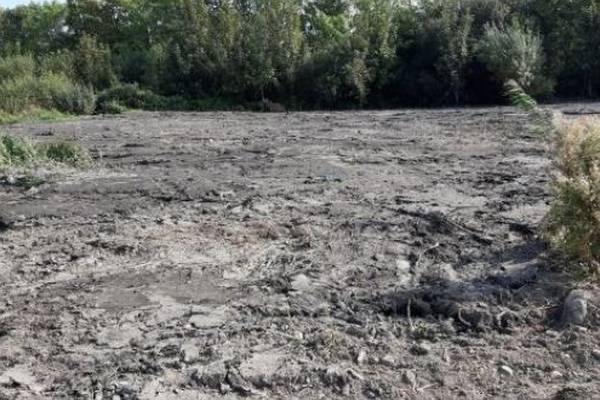 Boardwalk plan for damaged Tallaght wetlands shelved 'for now'