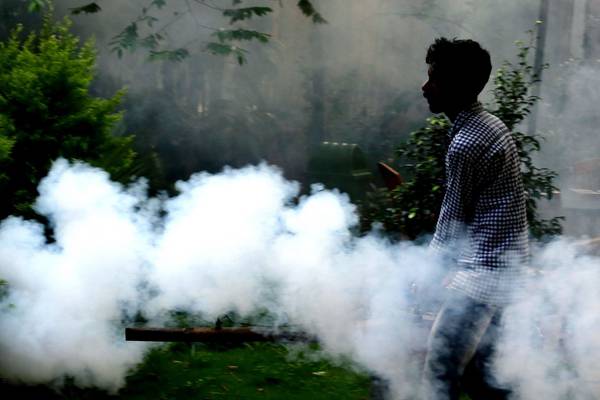 Climate change could increase spread of dengue fever