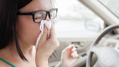 Never, ever drive under the influenza, warns council