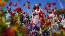 ‘My carrots aren’t going to be happy when I get back’: Bloom gardeners fear effects of dry spell 