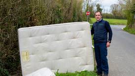 ‘Pandemic of rubbish’: 5,700 bags of waste collected on Co Meath roads