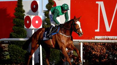 Concertista expected to show her class in Limerick’s Grade Two feature