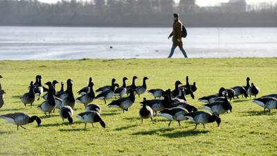 Move to change Clontarf housing site to special area of conservation