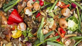 ‘There is much more to food waste than wasted food’