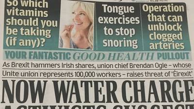 ‘Irish Daily Mail’ parent sees drop in profits, revenues