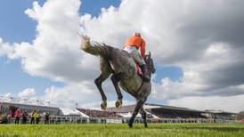 Cheltenham-winning horse among assets targeted by CAB