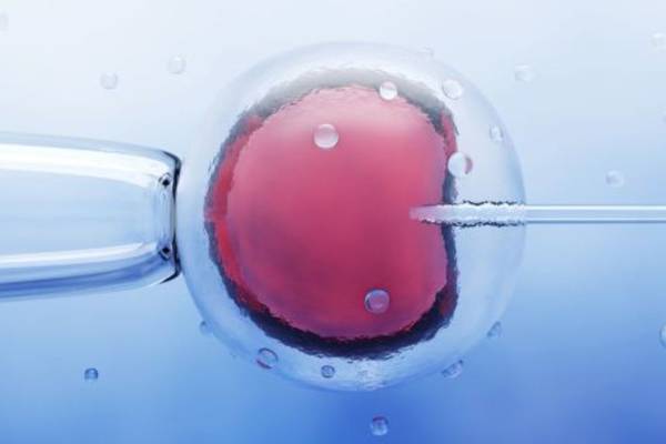 IVF, fertility treatment: Up to €1 million funding to be announced