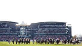 Aintree Grand National reduced from 40 to 34 runners as part of new safety measures