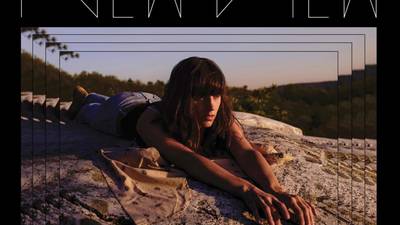 Eleanor Friedberger - New View: embroidered with subtle guitar fireworks
