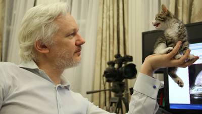 Risk Cannes review: Julian Assange is back in the spotlight