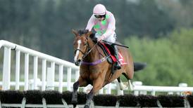 Faugheen on course to maintaining unbeaten record at Punchestown