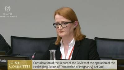 Abortion review chair rejects FG TD’s claim that changes would spark legal challenge