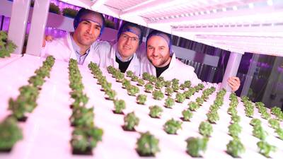 Indoor vertical farming is the future says Irish agritech start-up
