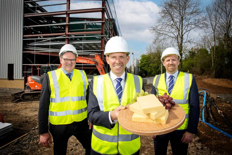 Dale Farm to invest €82m expanding NI cheddar factory