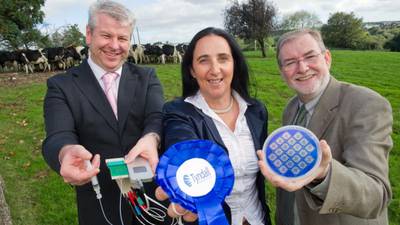 Institute keen to apply ICT knowledge of human health to animal welfare