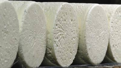 Teagasc: Saudi cheese venture the shape of things to come