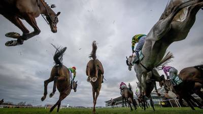 Leopardstown hope watering will improve conditions for Christmas festival