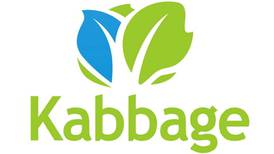 Kabbage raises $250m after establishing patch in Ireland