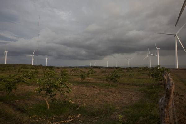 Ireland’s electricity should be 70 per cent renewables by 2030, says wind farm group