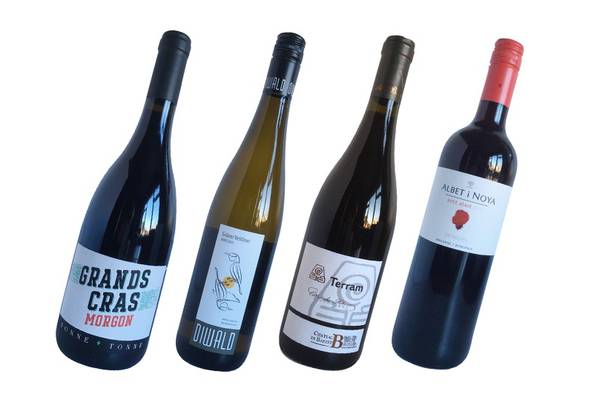 ‘The range in Ireland is terrific’: Four organic wines to look out for