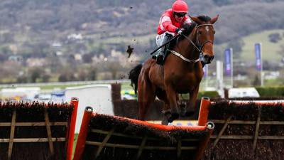 Willie Mullins gives Laurina green light to test Champion credentials at Cheltenham