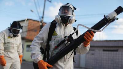 Zika virus Q&A: what we know, what you need to know