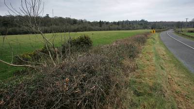 Illegal hedgerow cutting to be met with ‘zero tolerance’ approach