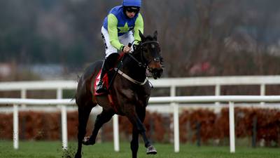 Willie Mullins’ Champion Bumper arsenal in formidable shape