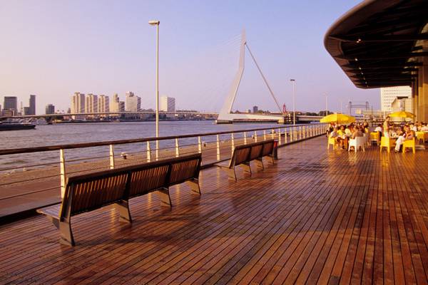 Rotterdam launches app to combat sexual harassment