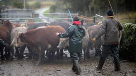 Study of 1,000 farms finds 40% earned under  €10,000 in 2014