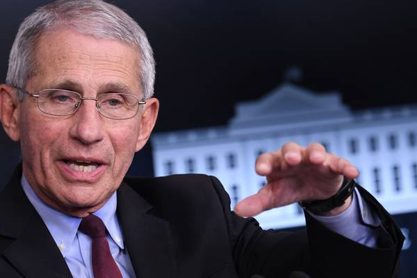 Fauci says political divisions contributed to ‘stunning’ US Covid-19 death toll