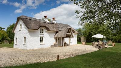 Fancy thatch? Sunny southeast cottage with cosy coastal vibe