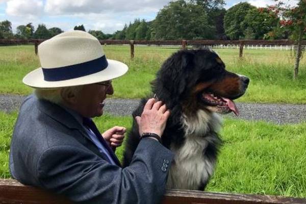 President Higgins announces death of his dog Síoda
