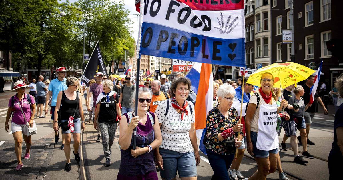 Nederlanders zullen zich deze zomer herinneren voor boerenprotest – The Irish Times