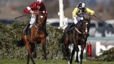 Aintree Grand National: A horse-by-horse guide to the big race