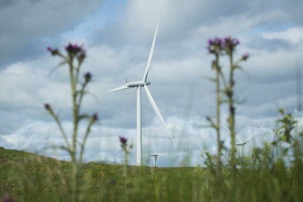 Energy prices fall 30% as wind generates almost one-third of electricity