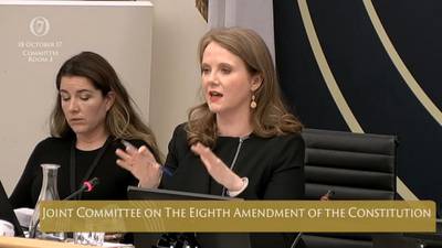 Committee votes not to retain Eighth Amendment in full